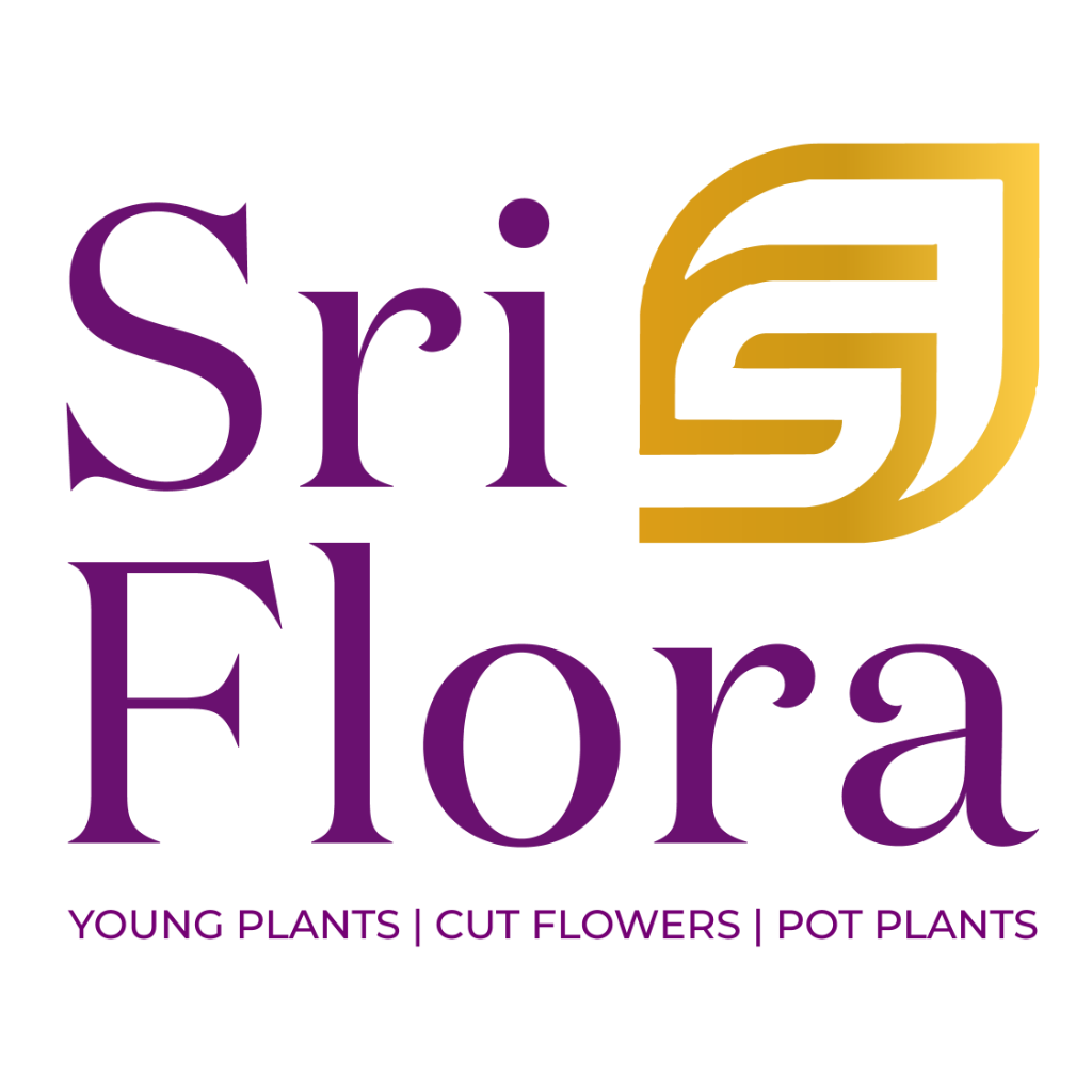 Sri Flora — Young Plants, Cut Flowers, Pot Plants