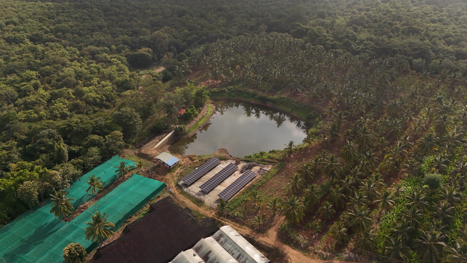 Farm Overview