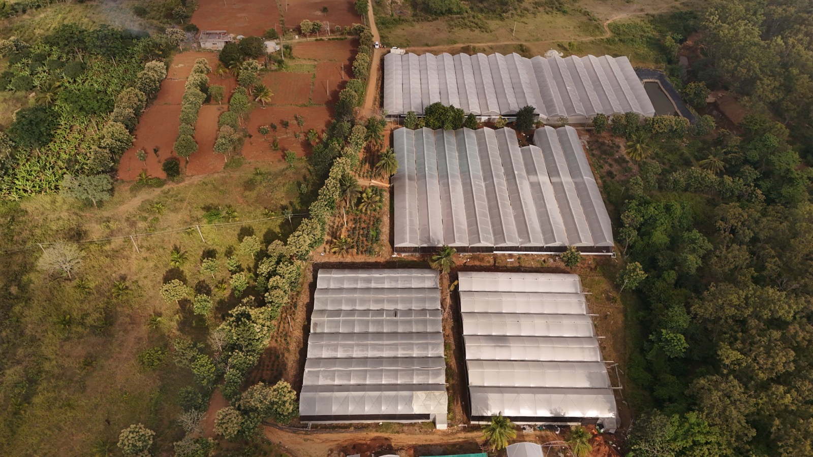 Drone View of Sri Flora